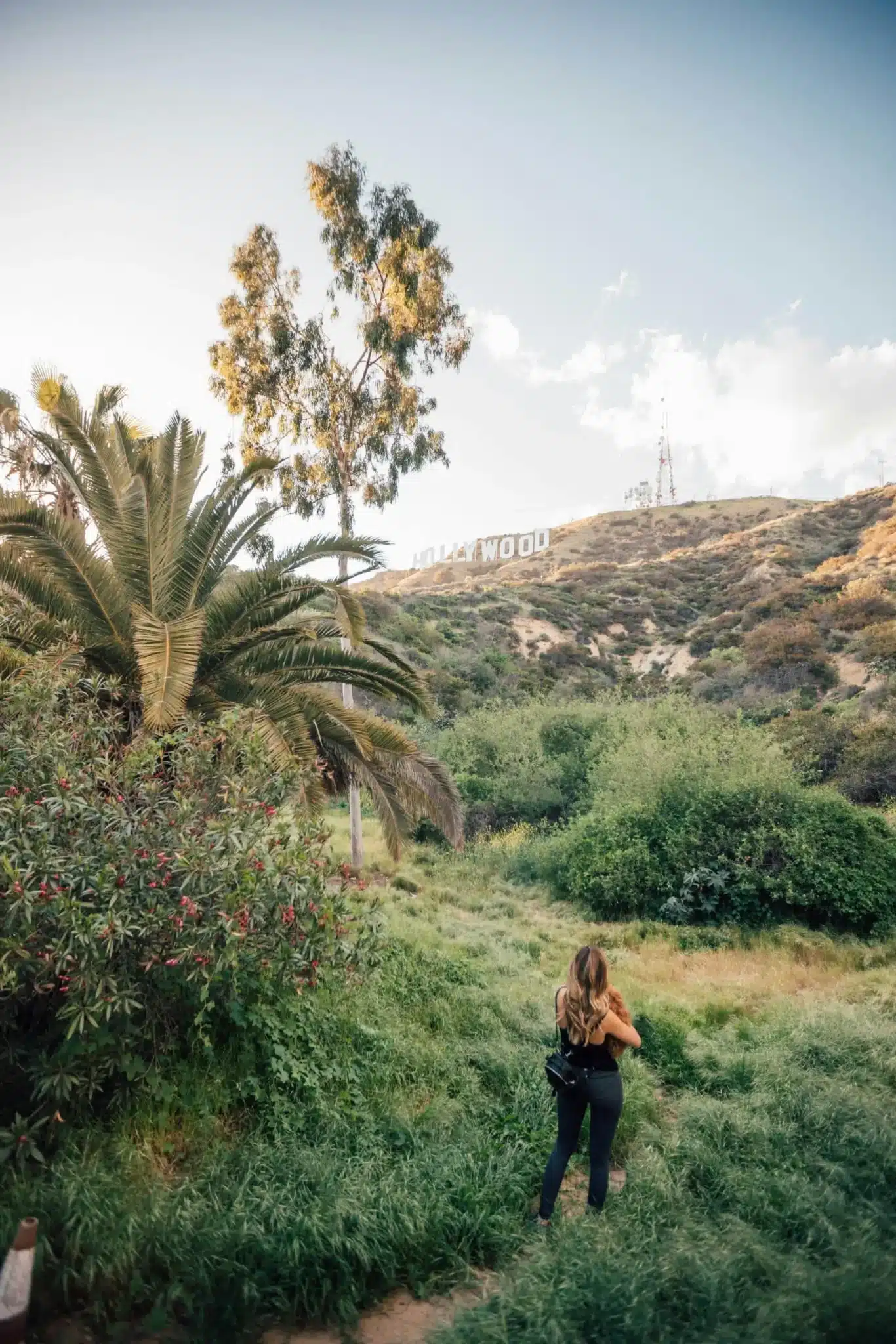 Hollywood Sign Hiking Tour