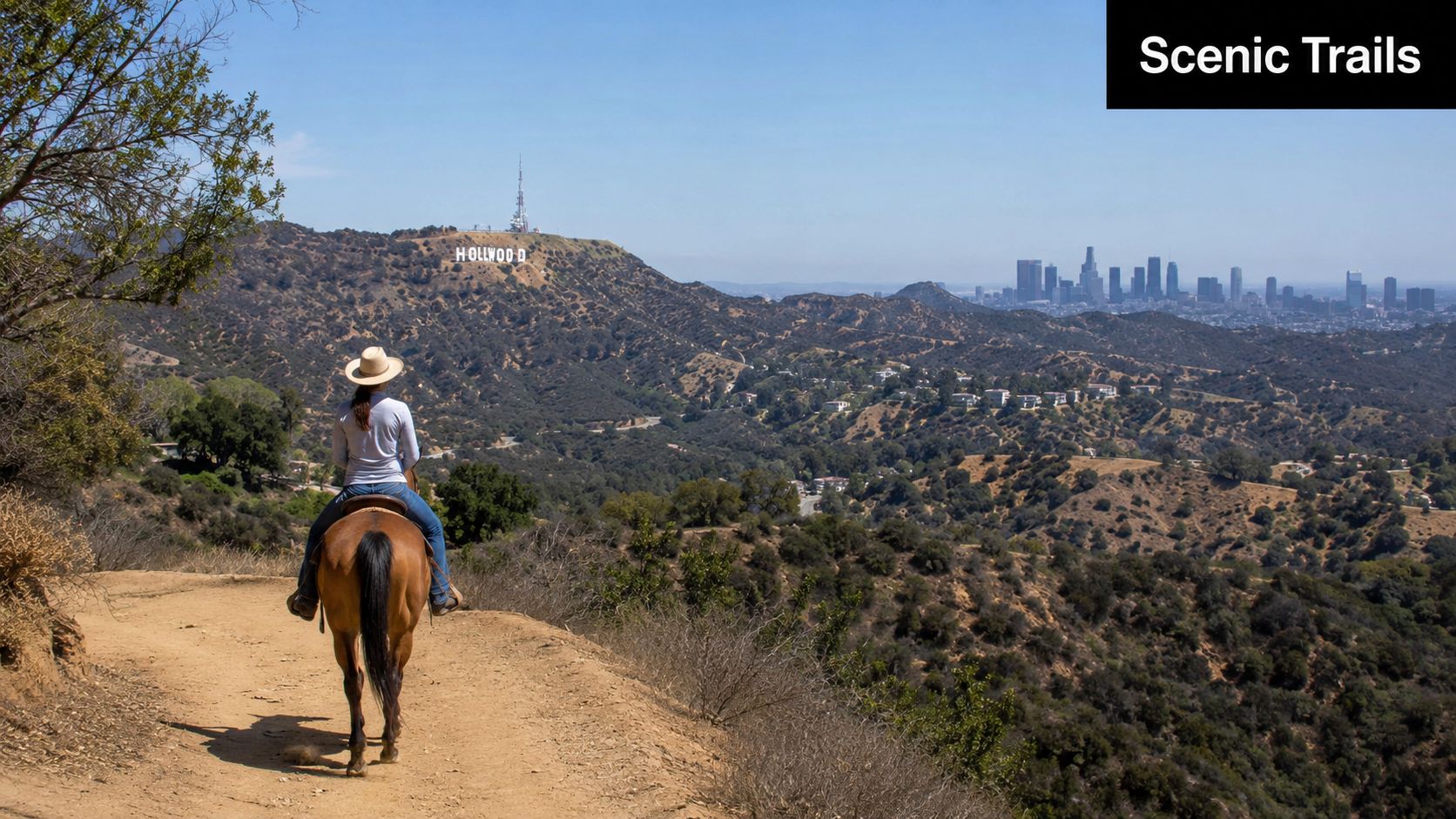 A person riding a horse on a scenic trail with a view of the Hollywood sign.