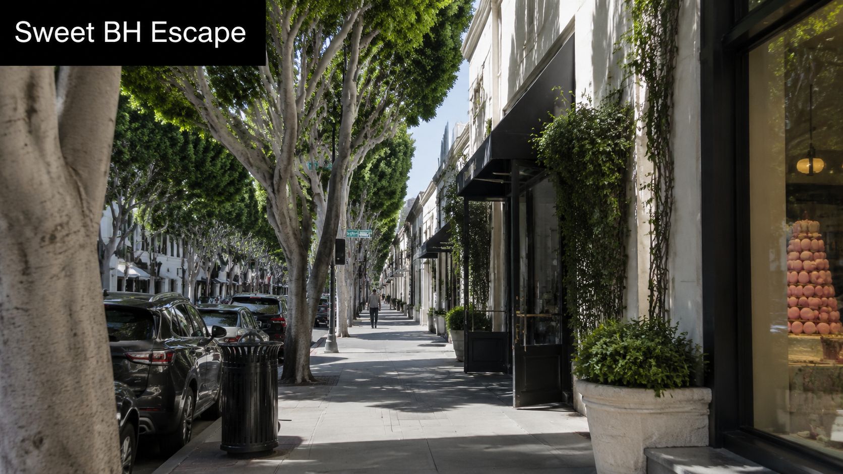 A scenic street view featuring luxury retail shops and leafy trees in Beverly Hills on a sunny day.