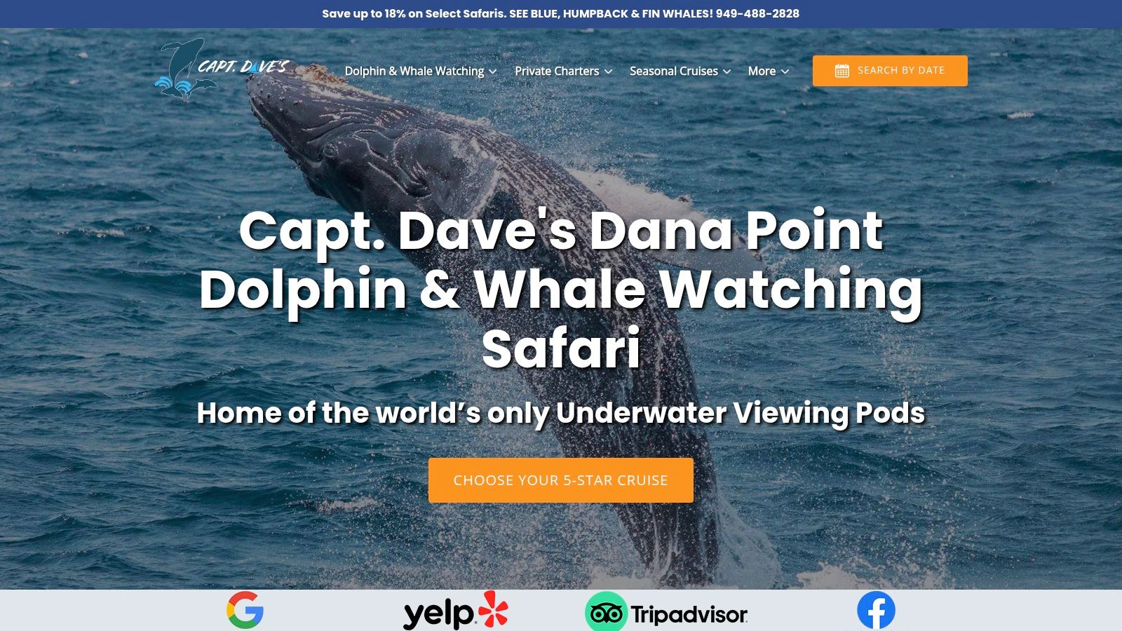 Davey's Locker Whale Watching (Newport Beach)