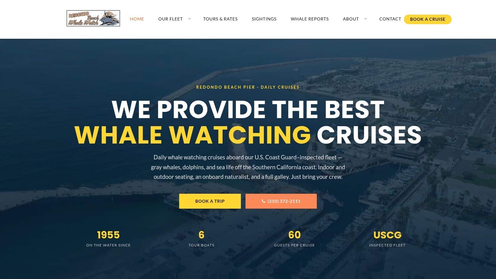 Redondo Beach Whale Watch (Redondo Beach)
