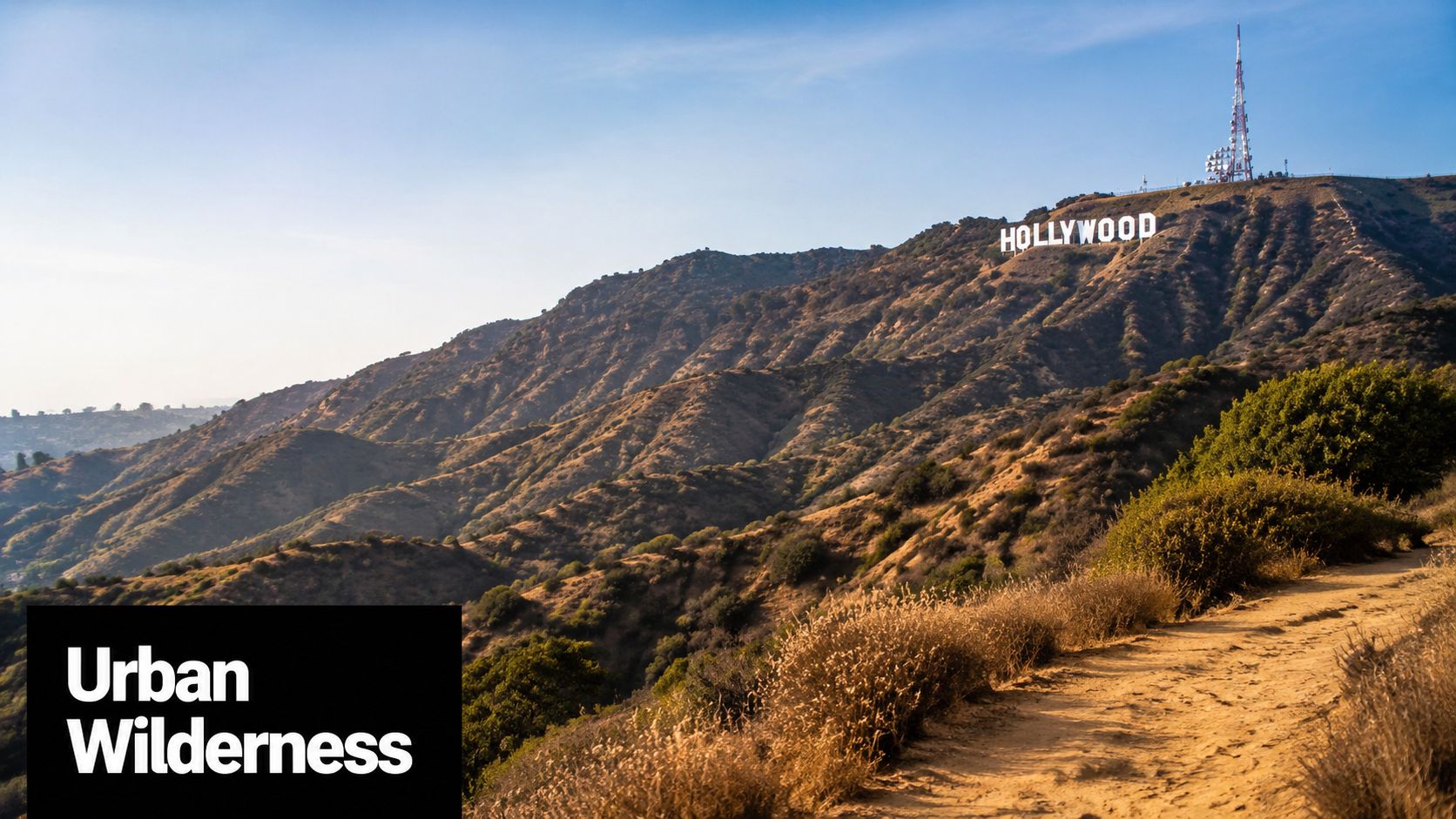 A scenic dirt hiking trail in Griffith Park looking up at the famous white Hollywood sign.